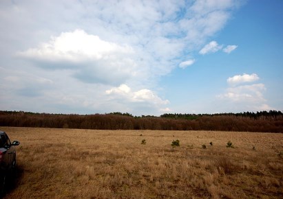 działka na sprzedaż - Wałcz (gw), Golce