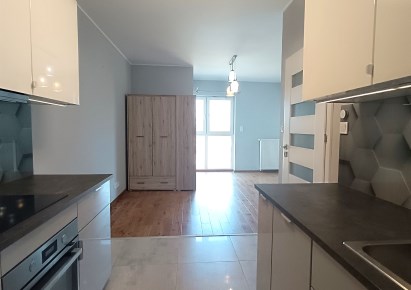 mieszkanie na sprzedaż - Poznań