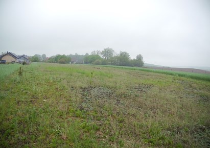działka na sprzedaż - Szydłowo (gw), Szydłowo